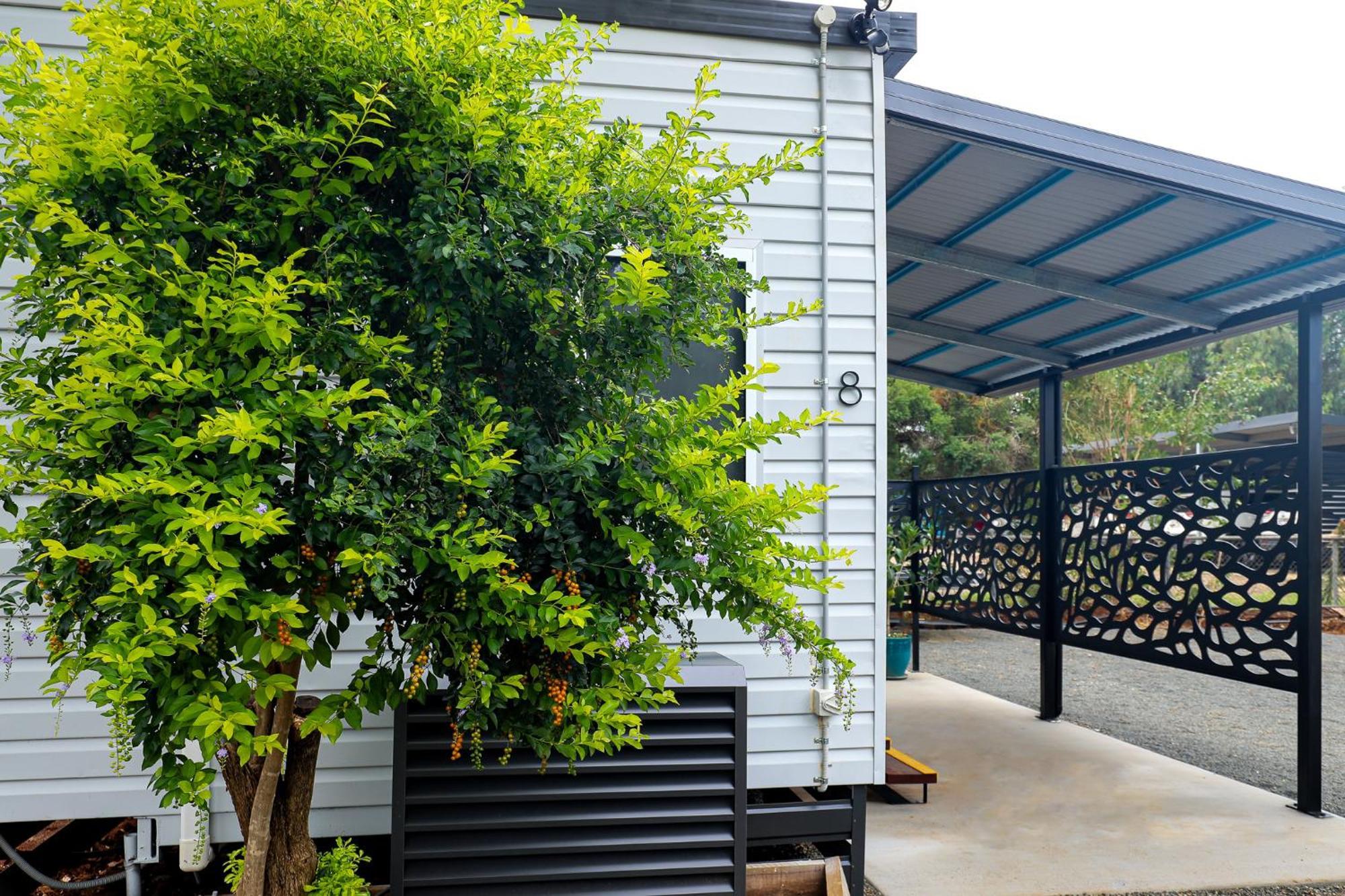 Kingaroy Holiday Park Ngoại thất bức ảnh